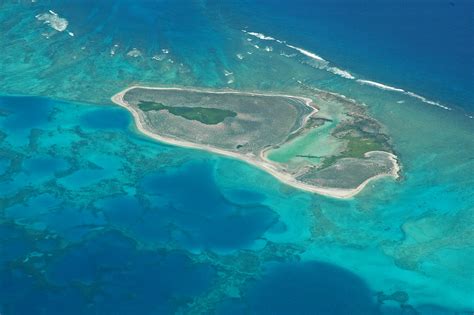 hermes reef|pearl and hermes atoll hawaii.